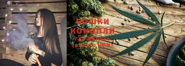 стафф Богородск