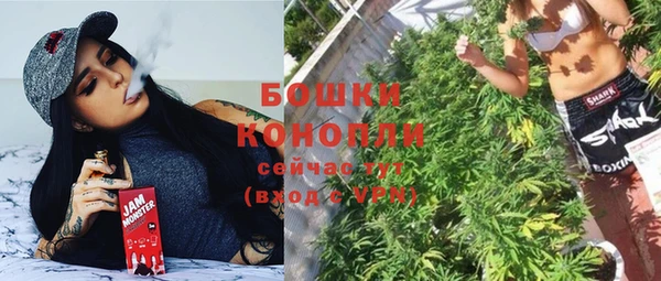 2c-b Богданович