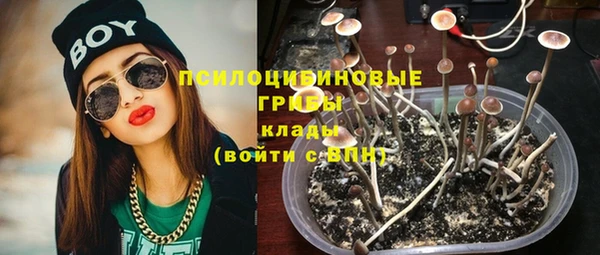 2c-b Богданович